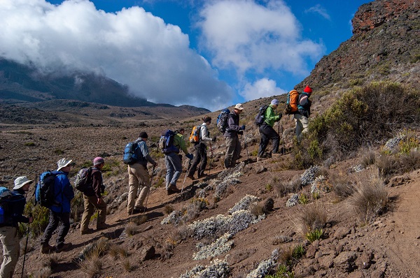 Kilimanjaro safari climbing tour via Machame route