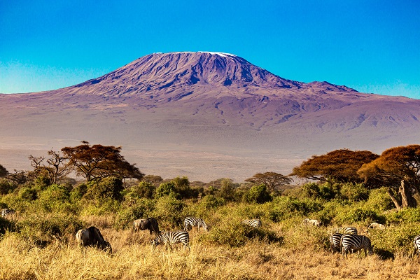 Kilimanjaro safari climbing tour packages