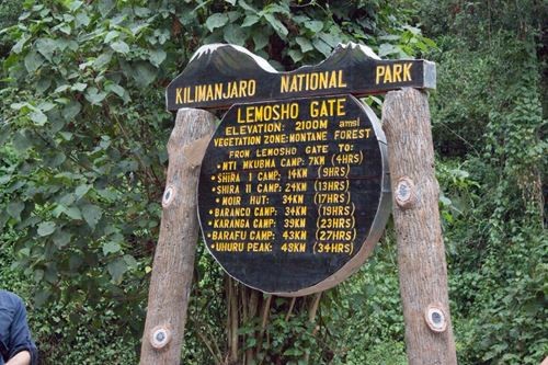 Lemosho route Kilimanjaro climbing packages