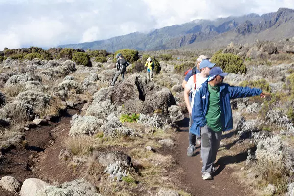 9-Day Lemosho Route Kilimanjaro Climbing Tour Package