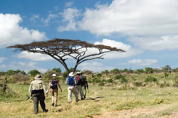 1-Day Tanzania Sharing Safari Package to Tarangire National Park
