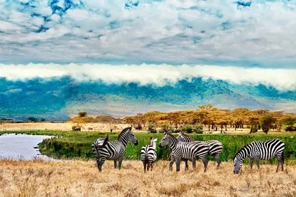 3-Day Tanzania Group Joining Safari Tour Package