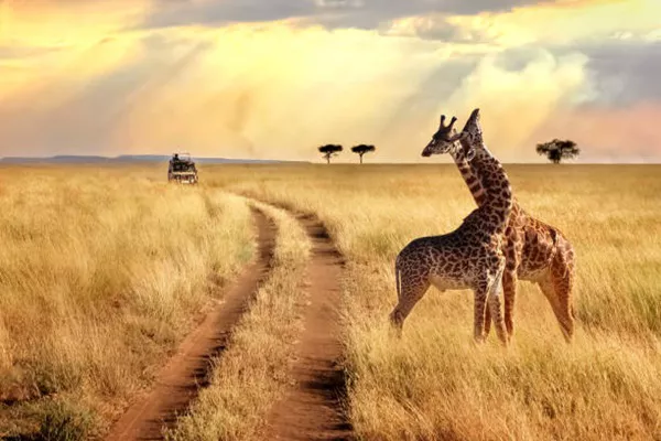 6-Day Tanzania Safari Tour Package