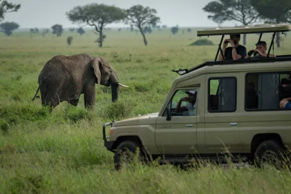 2-Day Tanzania Sharing Safari Tour Package