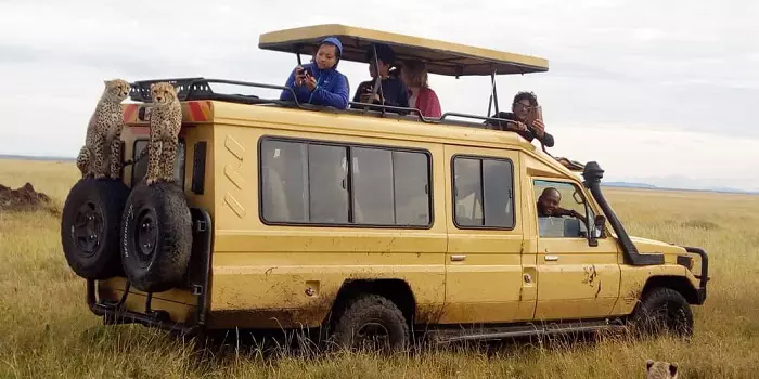 Tanzania group joining safari tour packages