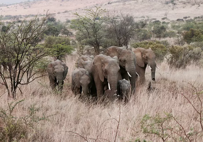 3 days Tanzania private safari tour to Serengeti & Ngorongoro