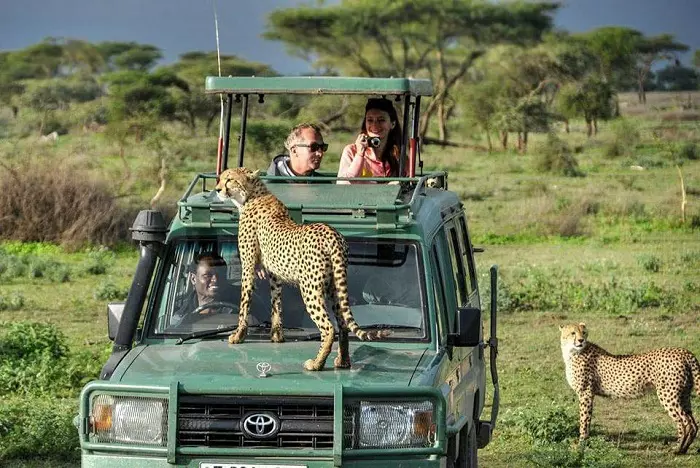 African safari Ngorongoro crater: Tanzania big five wildlife tour