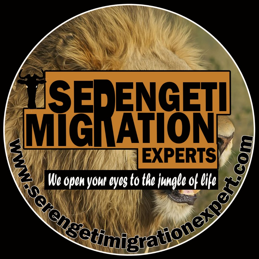 Serengeti Migration Experts