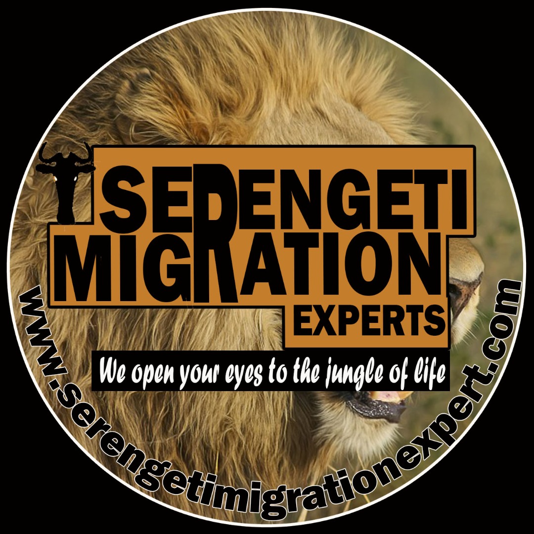 Serengeti Migration Experts LTD