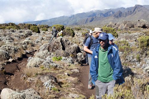 6 Days Kilimanjaro hiking via Lemosho