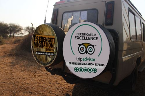 Serengeti Migration Experts' 4x4 vehicle