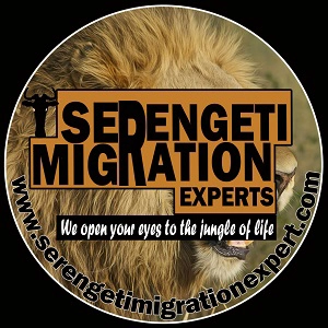 Serengeti Migration Experts