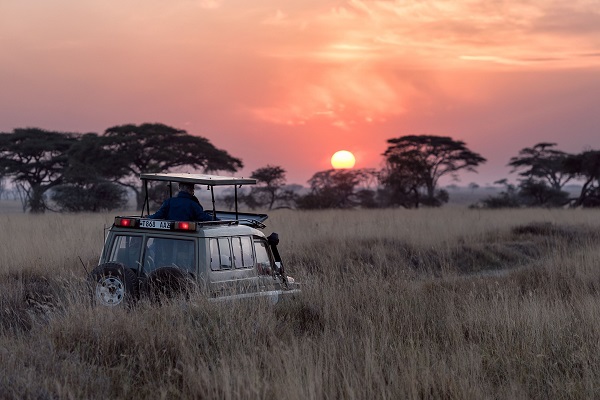 7 days Serengeti safari tour, great wildebeest migration