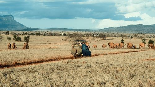 Tanzania safari tour packages - Serengeti Migration Experts