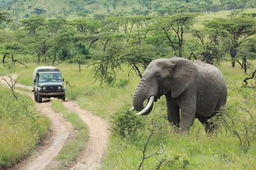One day Tanzania sharing/budget safari joining tour to Ngorongoro Crater