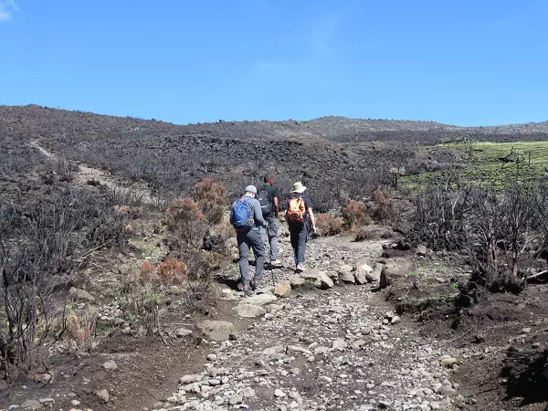8-Day Lemosho Route Kilimanjaro Climbing Tour Package