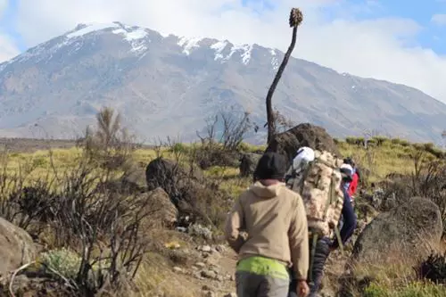 Kilimanjaro climbing routes success rates to summit