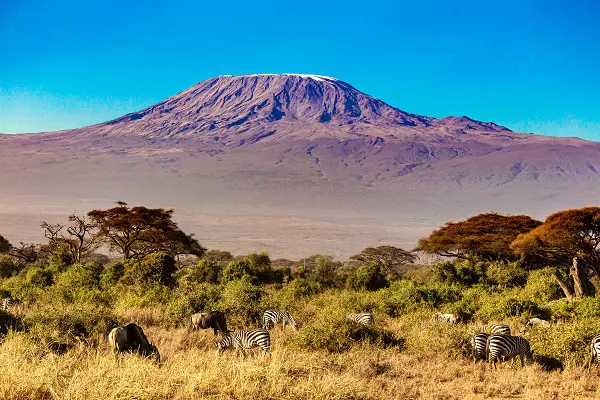The Best Kilimanjaro Tour Operator