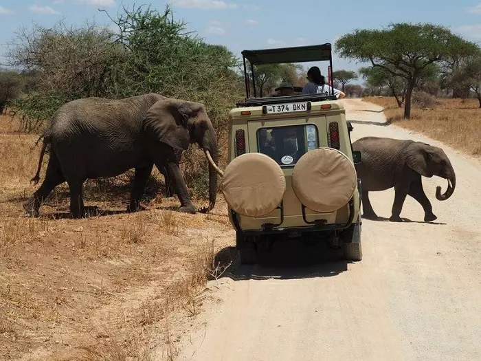 6 days Tanzania private safari tour package with Serengeti