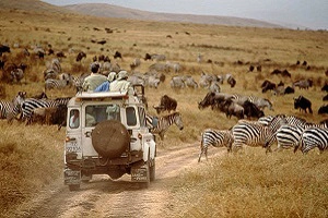 Travelers enjoying 1 day Tanzania sharing safari