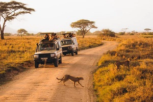 Tourists enjoying the tour during Shared safari to Tarangire