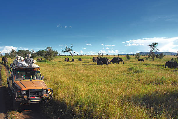 Serengeti big 5 safari vacations Serengeti big 5 safari vacations package