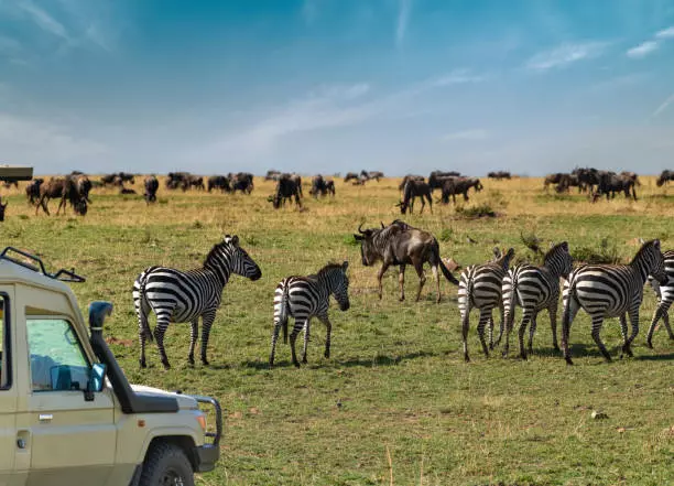 Serengeti view during Shared safari Tanzania