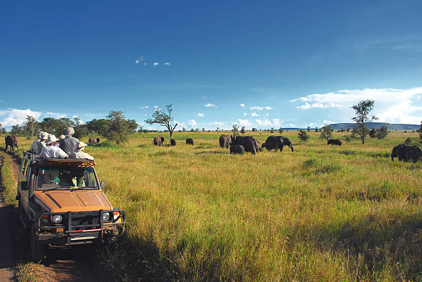Tanzania 1-day safari to Tarangire National Park