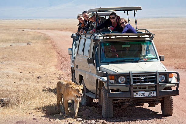 2 days Tanzania group sharing safari tour to Lake Manyara and Ngorongoro Crater