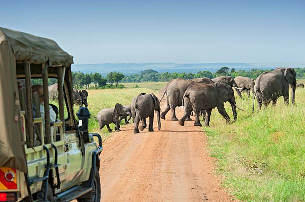 Tanzania 3 days safari tour to Tarangire, Lake Manyara, and Ngorongoro Crater