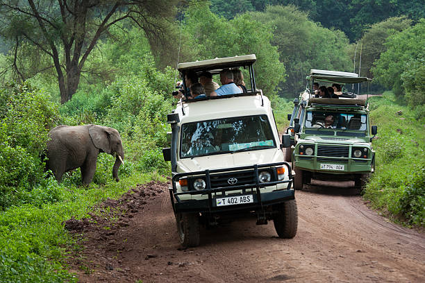 Tanzania 2 days safari tour to Lake Manyara and Ngorongoro Crater