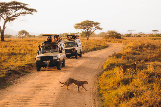 3 days Tanzania safari tour to Serengeti and Ngorongoro Crater