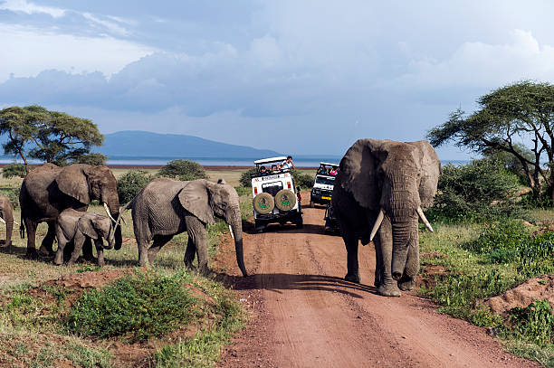 4 days Tanzania safari tour to Tarangire, Serengeti, and Ngorongoro Crater